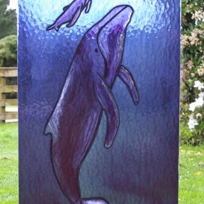 blue whale leadlight window llw