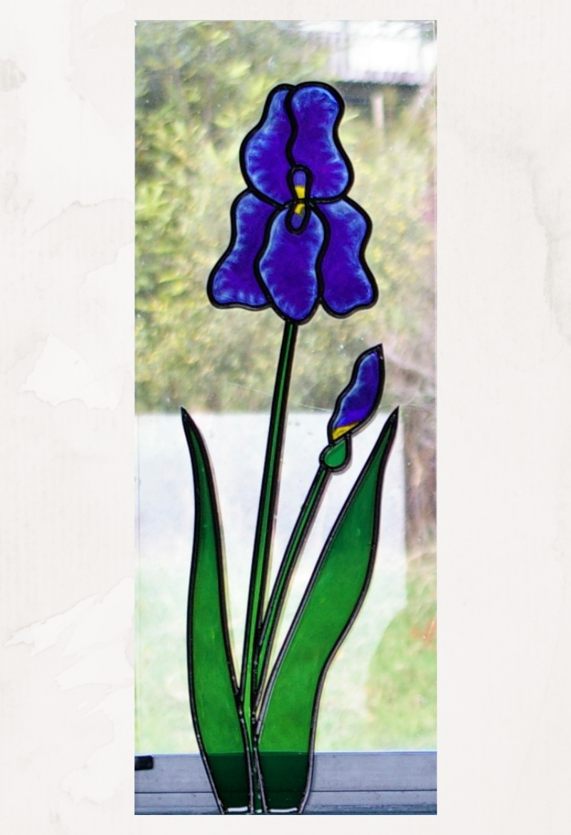 Simple Iris - ND021